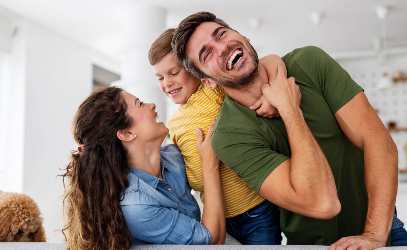 Mortgage Renewal